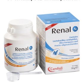 Candioli Renal N por